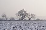 Dorfrand 1