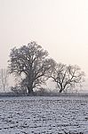 Dorfrand 2