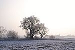 Dorfrand 3