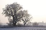 Dorfrand 4