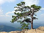 On Top Of Old Smokey