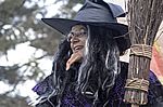 Mrs.Potter