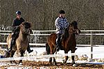 Wettrennen